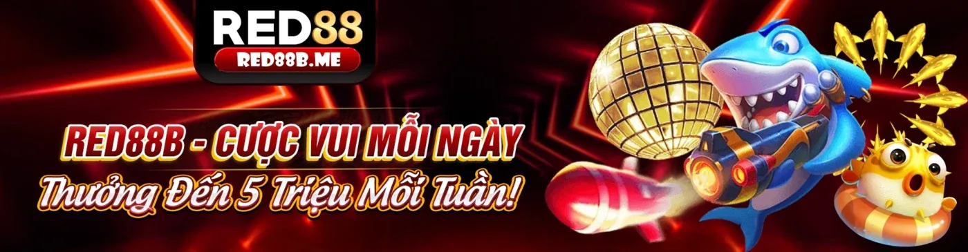Hình ảnh chính về cá cược thể thao tại 777king99